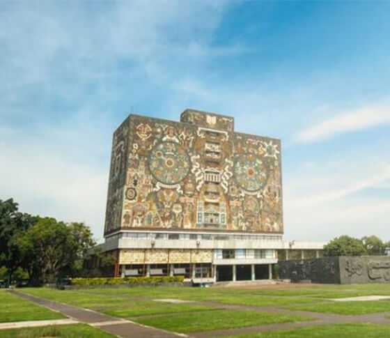 Practicantes en México por Carrera